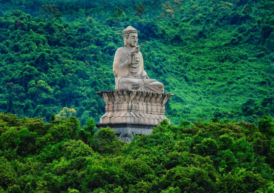 佛山佛山移动宽带